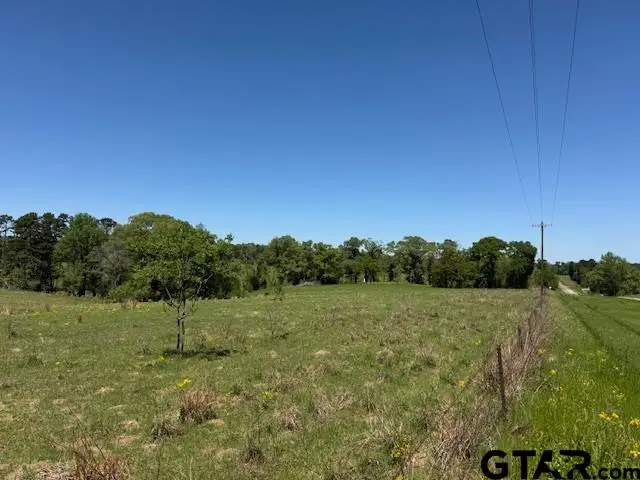 TBD 5 AC Fm 2685, Gilmer, TX 75645 - #3