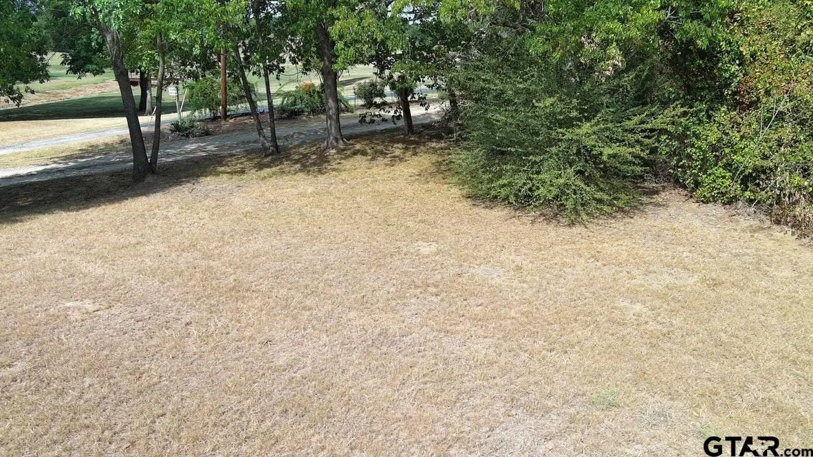 301 E Walnut Street, Mabank, TX 75147 - #1