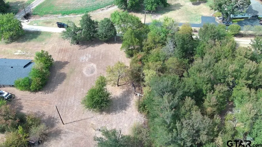 301 E Walnut Street, Mabank, TX 75147 - #3