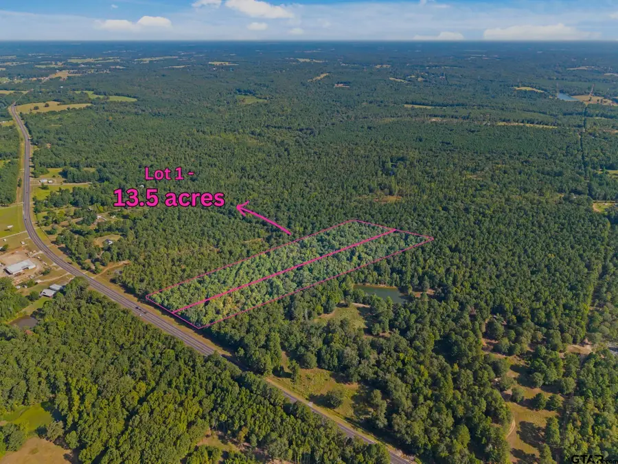 23791 Highway 64 (13.5 Acres), Arp, TX 75750 - #2