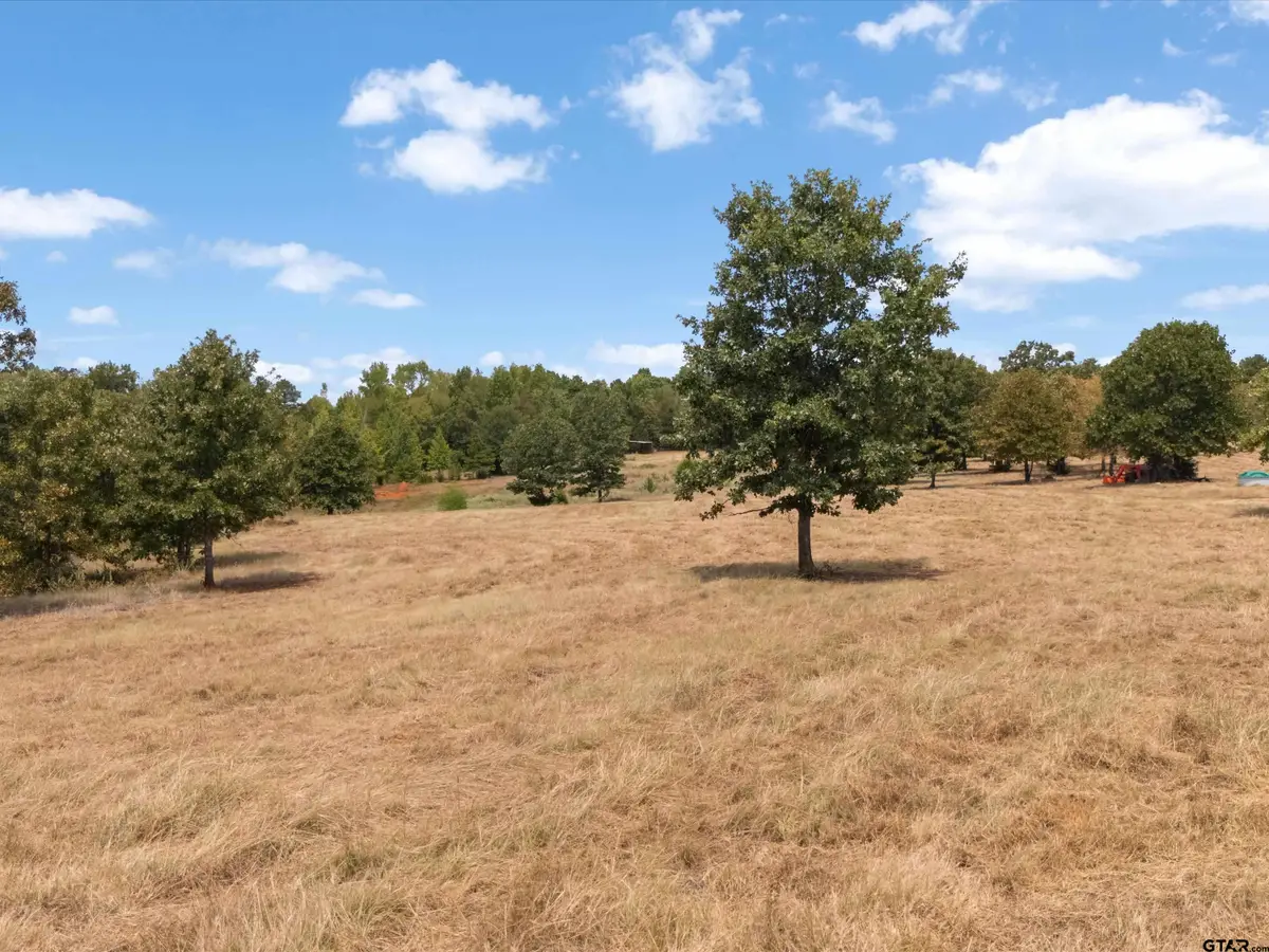 TBD Silk Tree Rd, Gilmer, TX 75645 - #1
