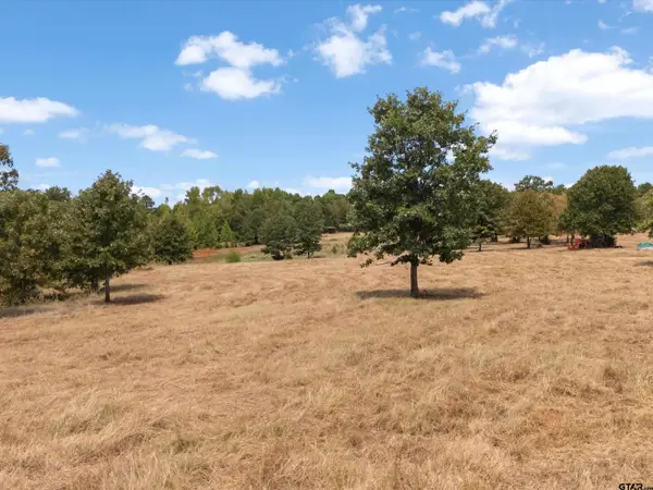 TBD Silk Tree Rd, Gilmer, TX 75645