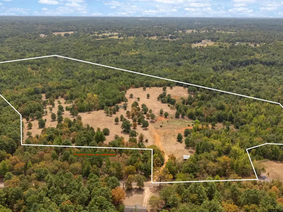 TBD Silk Tree Rd, Gilmer, TX 75645 - #2