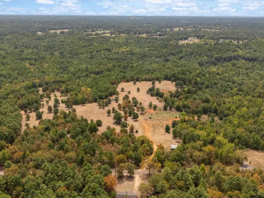 TBD Silk Tree Rd, Gilmer, TX 75645 - #3