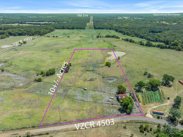 10.02 Acres Vz County Road 4503, Ben Wheeler, TX 75754