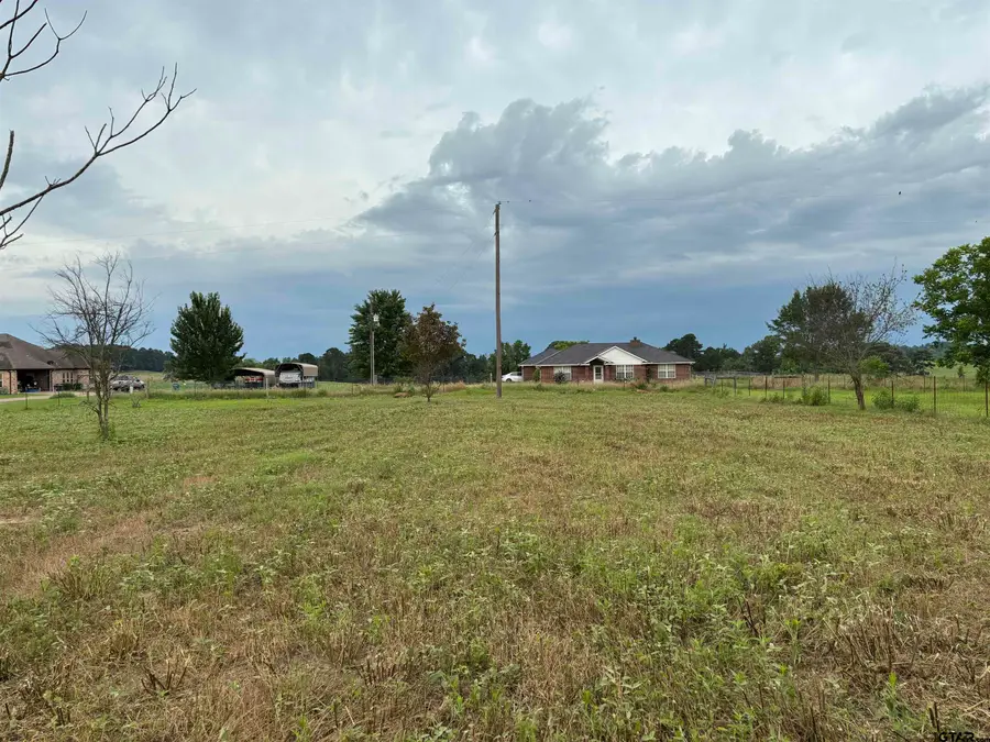 Lot 3 Scarlet Oak Rd, Gilmer, TX 75645 - #2