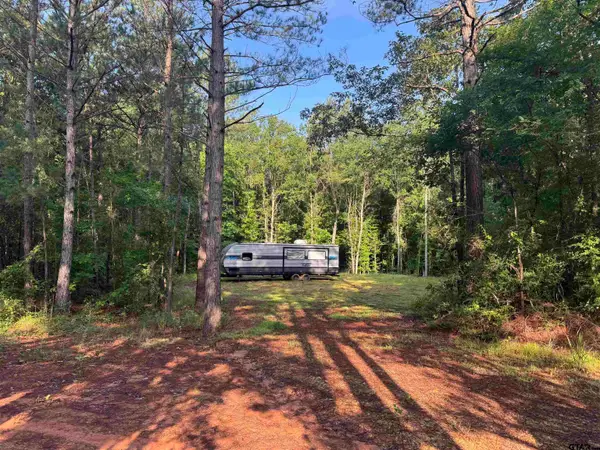 TBD Fm 2879, Longview, TX 75605