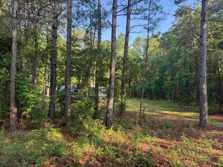 TBD Fm 2879, Longview, TX 75605 - #2