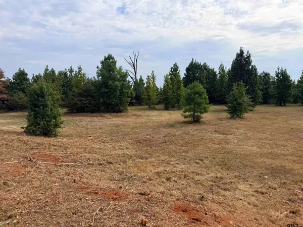 Tbd County Road 353 S, Henderson, TX 75654
