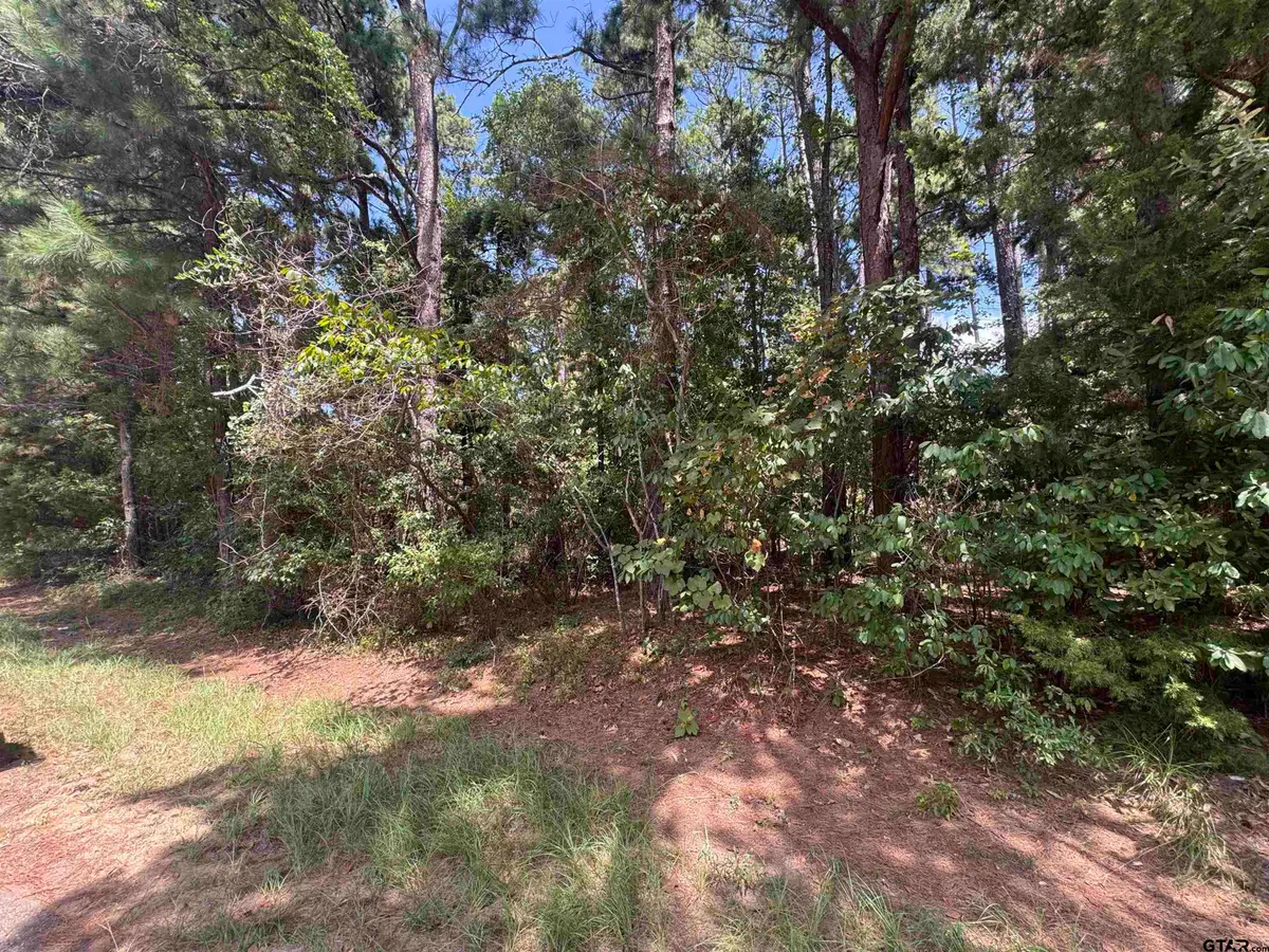 352 Neches Dr, Bullard, TX 75757 - #1