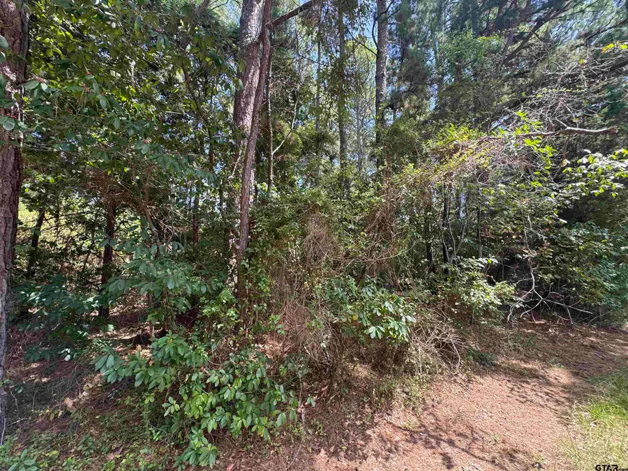 352 Neches Dr, Bullard, TX 75757 - #2