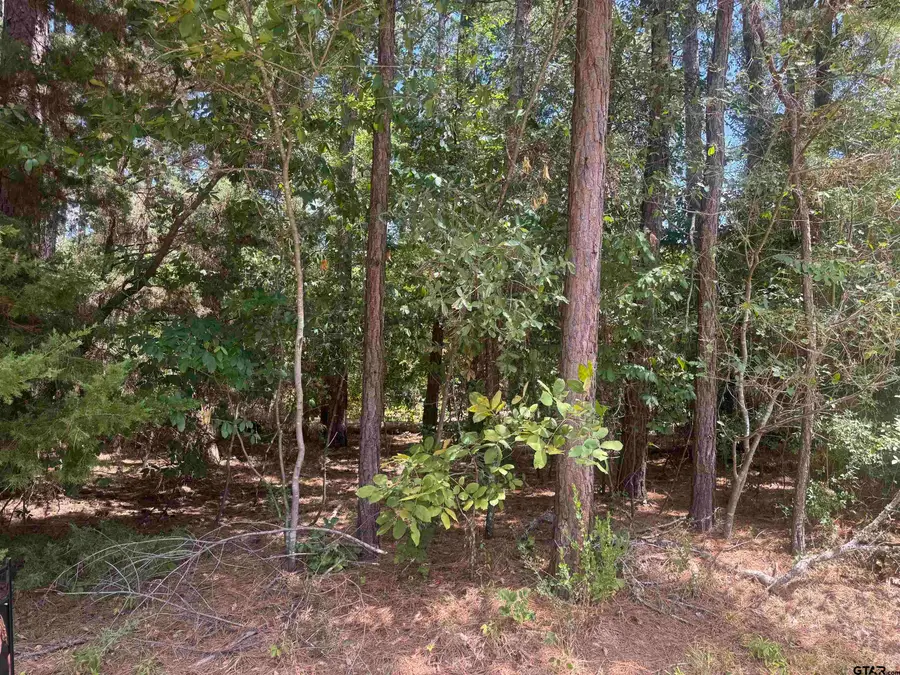352 Neches Dr, Bullard, TX 75757 - #3