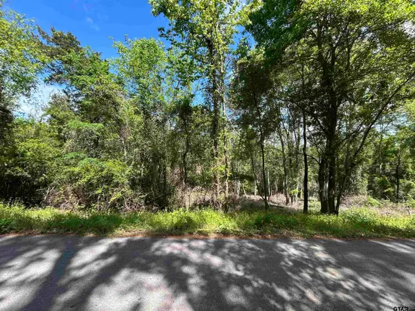 13904 County Road 1250, Tyler, TX 75709