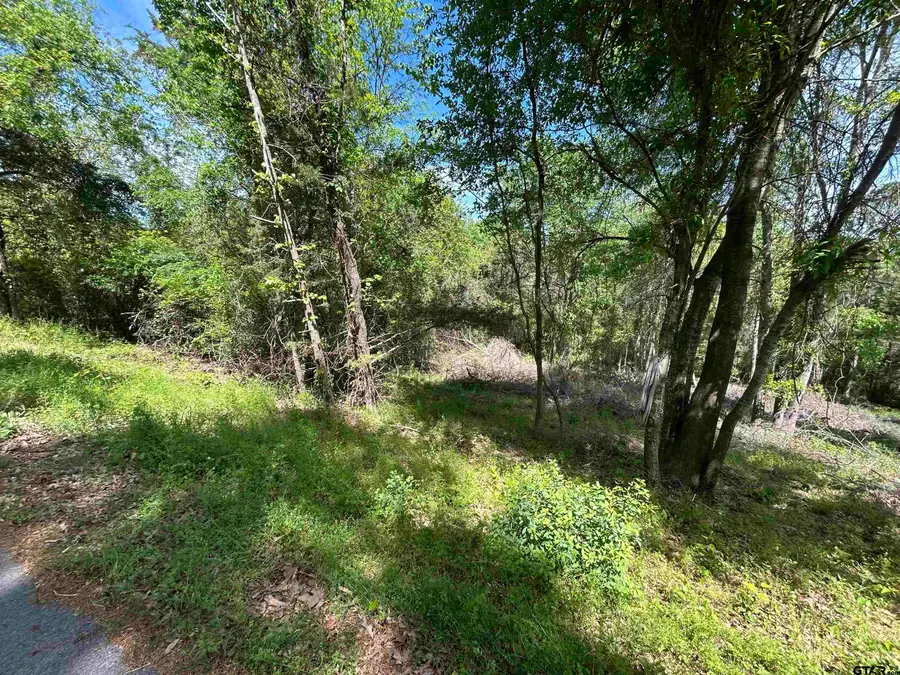 13904 County Road 1250, Tyler, TX 75709 - #2