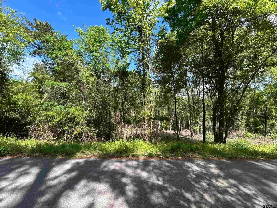13908 County Road 1250, Tyler, TX 75709 - #2