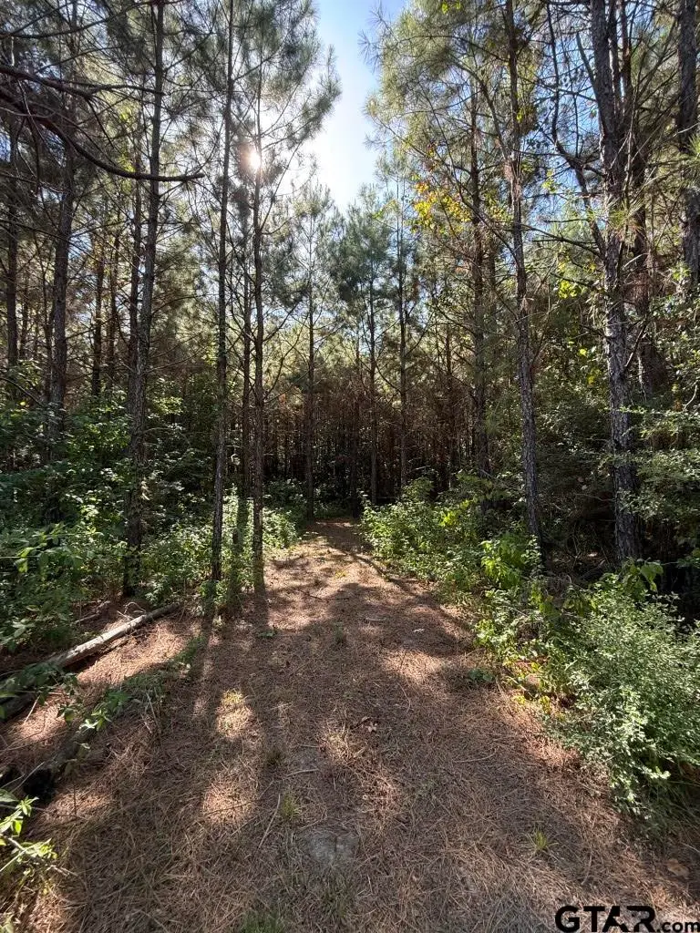 TBD Pr 8263, Broaddus, TX 75929 - #1