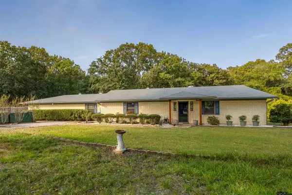 437 Fm 49, Mineola, TX 75773