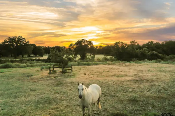 1709 County Road 4680, Boyd, TX 76023
