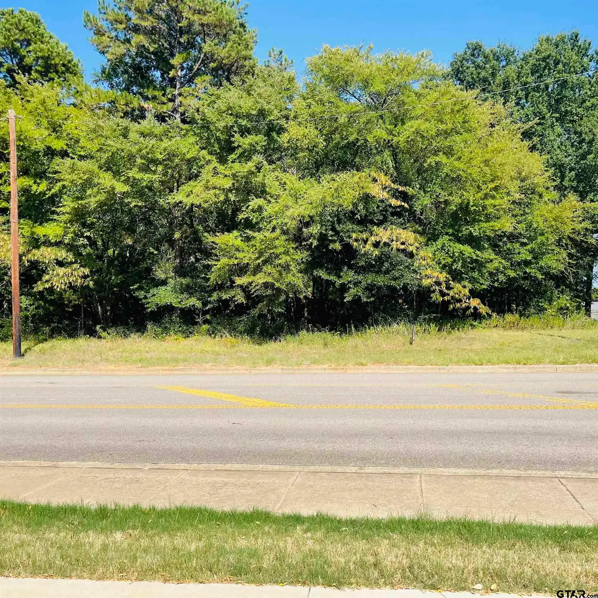 1729 Moseley, Tyler, TX 75701 - #1