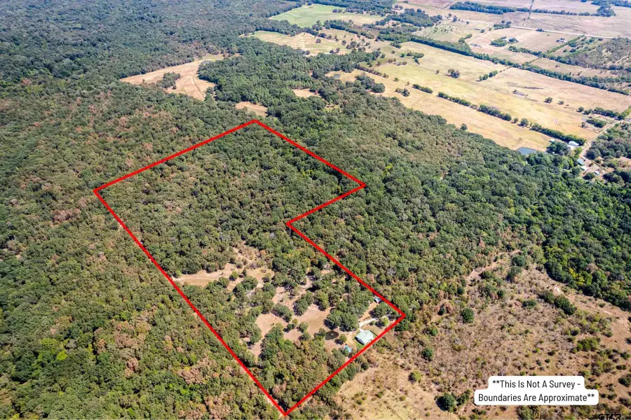 3383 NW Cr 1030, Mount Vernon, TX 75457 - #2