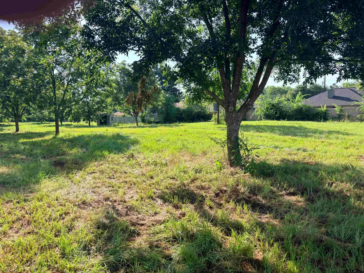 TBD Fm 2493, Bullard, TX 75757 - #1
