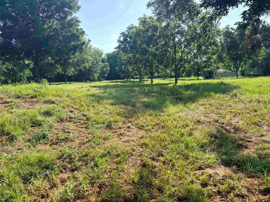 TBD Fm 2493, Bullard, TX 75757 - #3