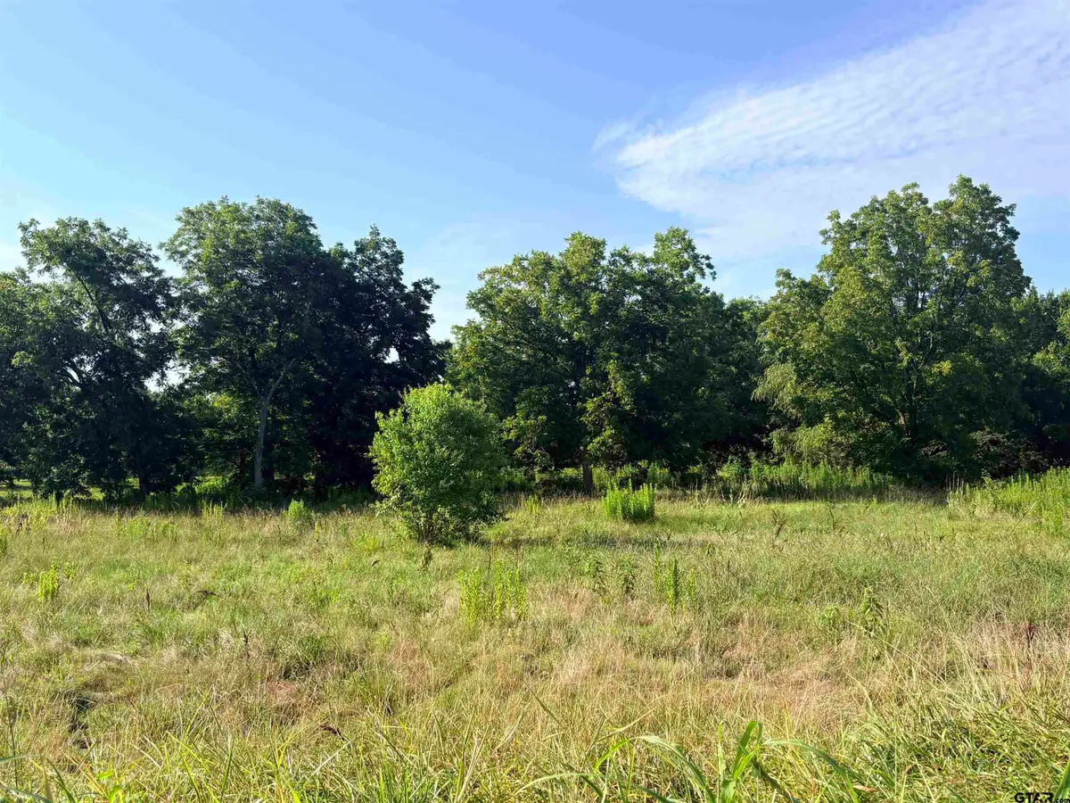 TBD Fm 2493, Bullard, TX 75757 - #1