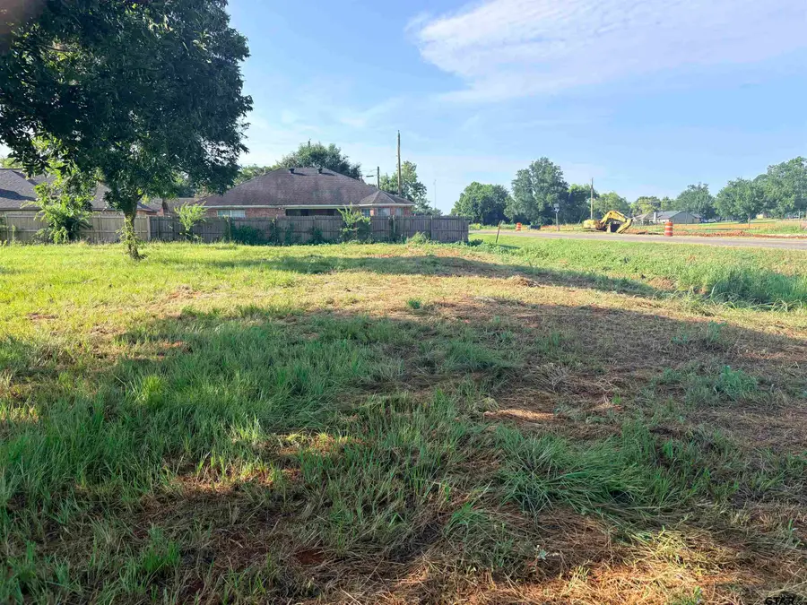 TBD Fm 2493, Bullard, TX 75757 - #2