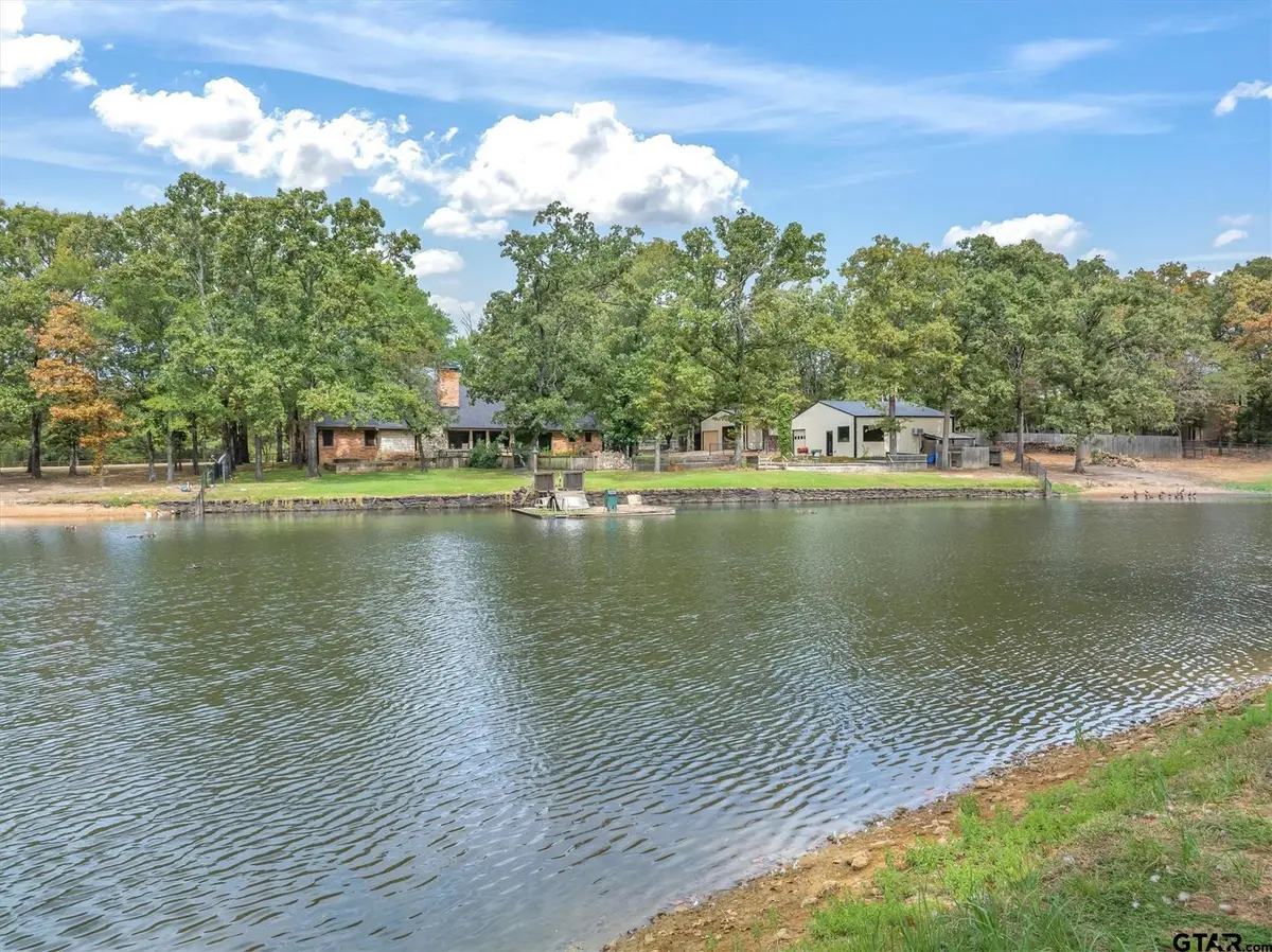 407 Vz County Road 1711, Grand Saline, TX 75140 - #1