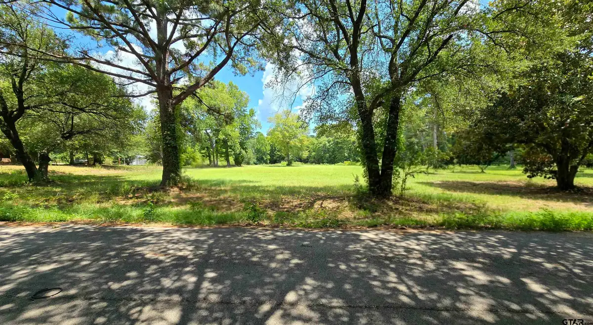 12456 N Pointe Road, Winona, TX 75792 - #1