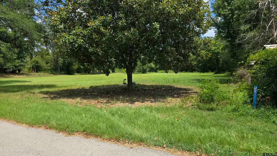 12456 N Pointe Road, Winona, TX 75792 - #2