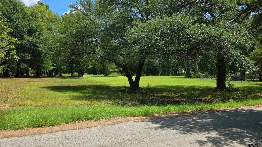 12456 N Pointe Road, Winona, TX 75792 - #3