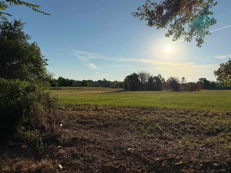 Lot 3 Cr 3204, Quitman, TX 75783 - #2