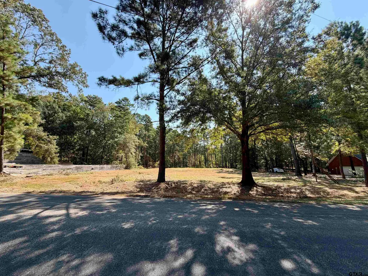 18084 Deer Trl, Flint, TX 75762 - #1