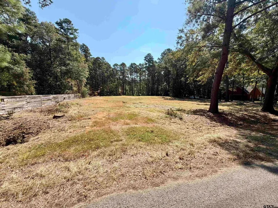 18084 Deer Trl, Flint, TX 75762 - #2