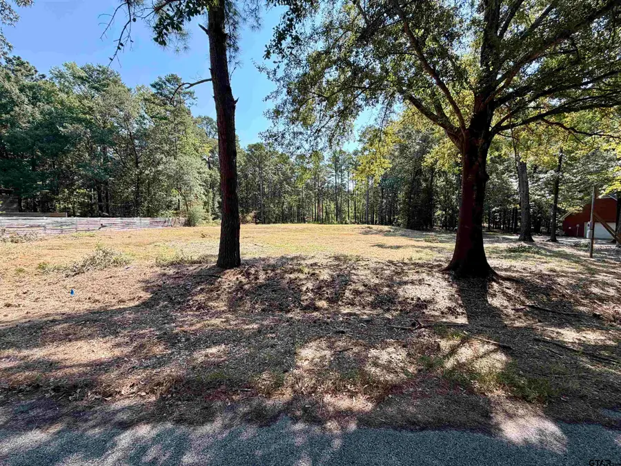 18084 Deer Trl, Flint, TX 75762 - #3