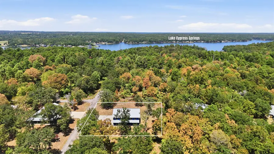 110 Whispering Pines Drive, Scroggins, TX 75480 - #2