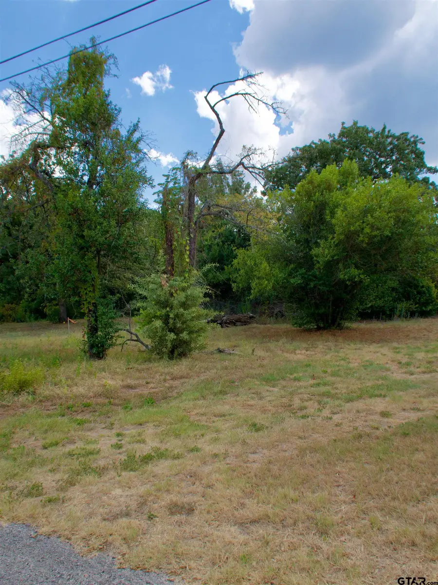 3104 Carden Lane, Tyler, TX 75701 - #3