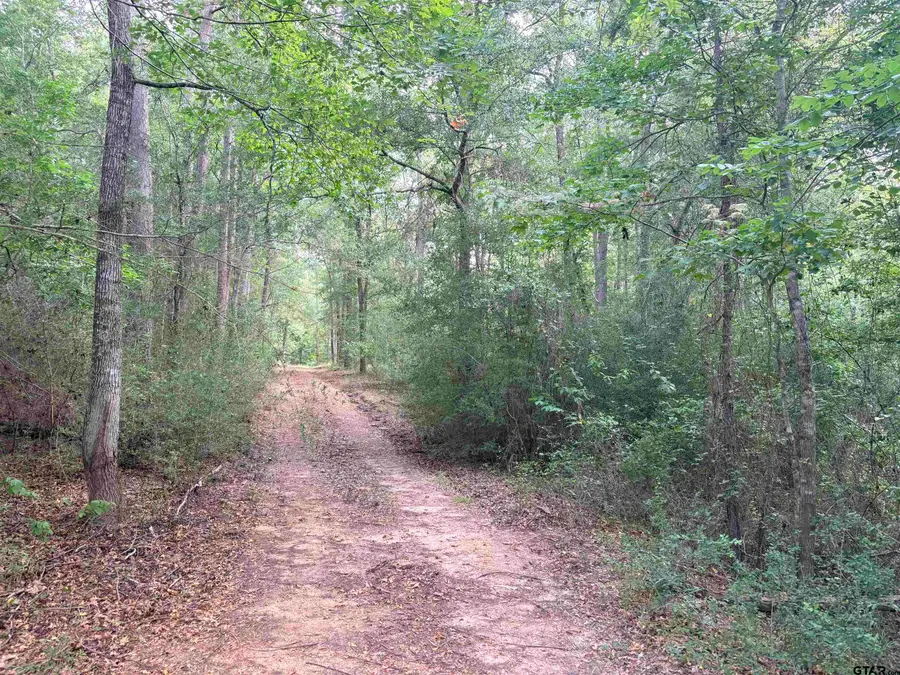 tbd 10 ACRES County Road 2125, Rusk, TX 75785 - #2