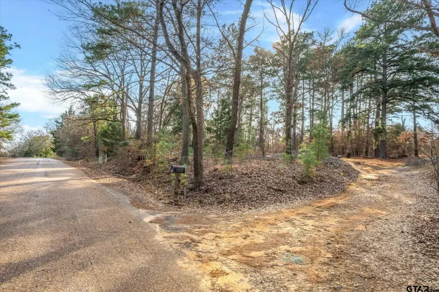 3.77 Acres County Road 3520, Brownsboro, TX 75756 - #2