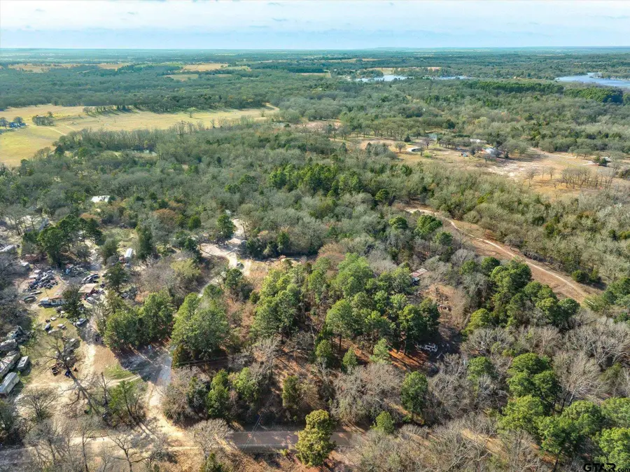 3.77 Acres County Road 3520, Brownsboro, TX 75756 - #3