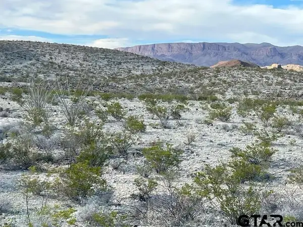 19795 & 19800 Reimers Rd, Terlingua, TX 79852