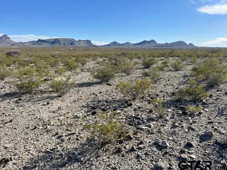 19795 & 19800 Reimers Rd, Terlingua, TX 79852 - #2