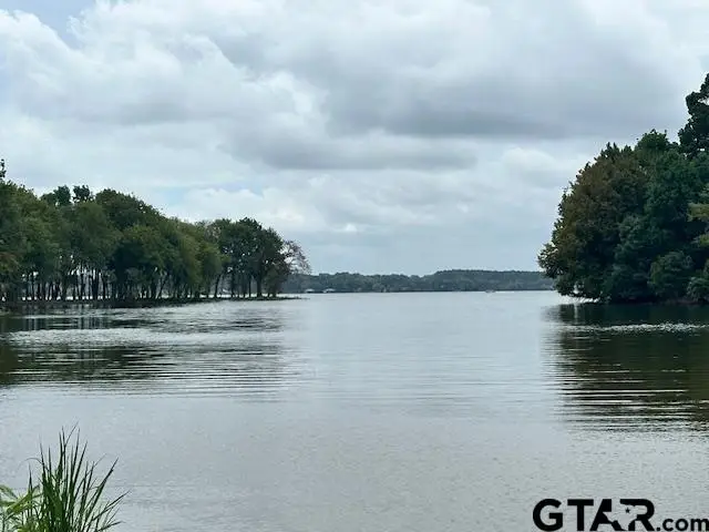 Lot 42 Oak River, Frankston, TX 75763 - #3