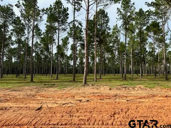 Lot 52 Oak River, Frankston, TX 75763