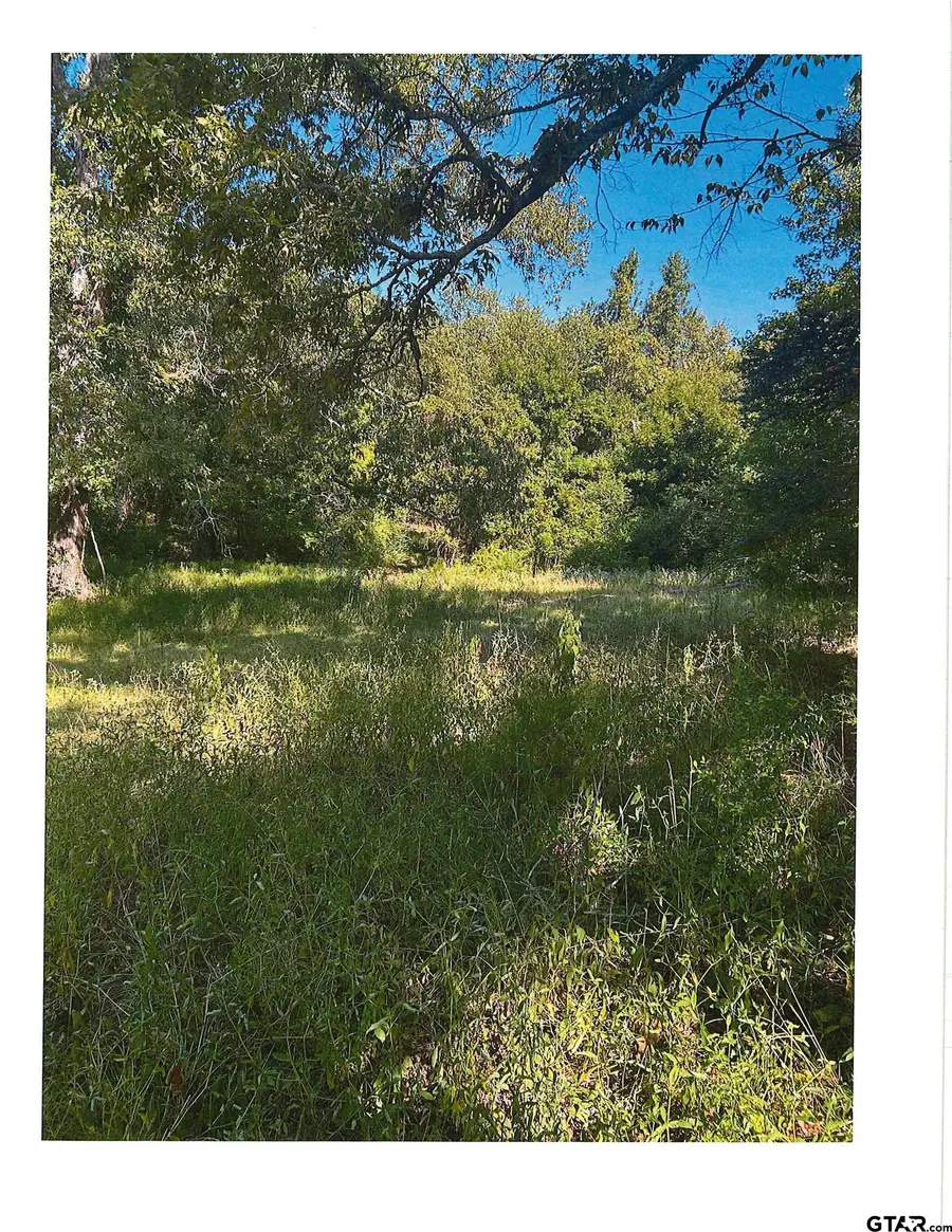 Fm 848, Whitehouse, TX 75791 - #2