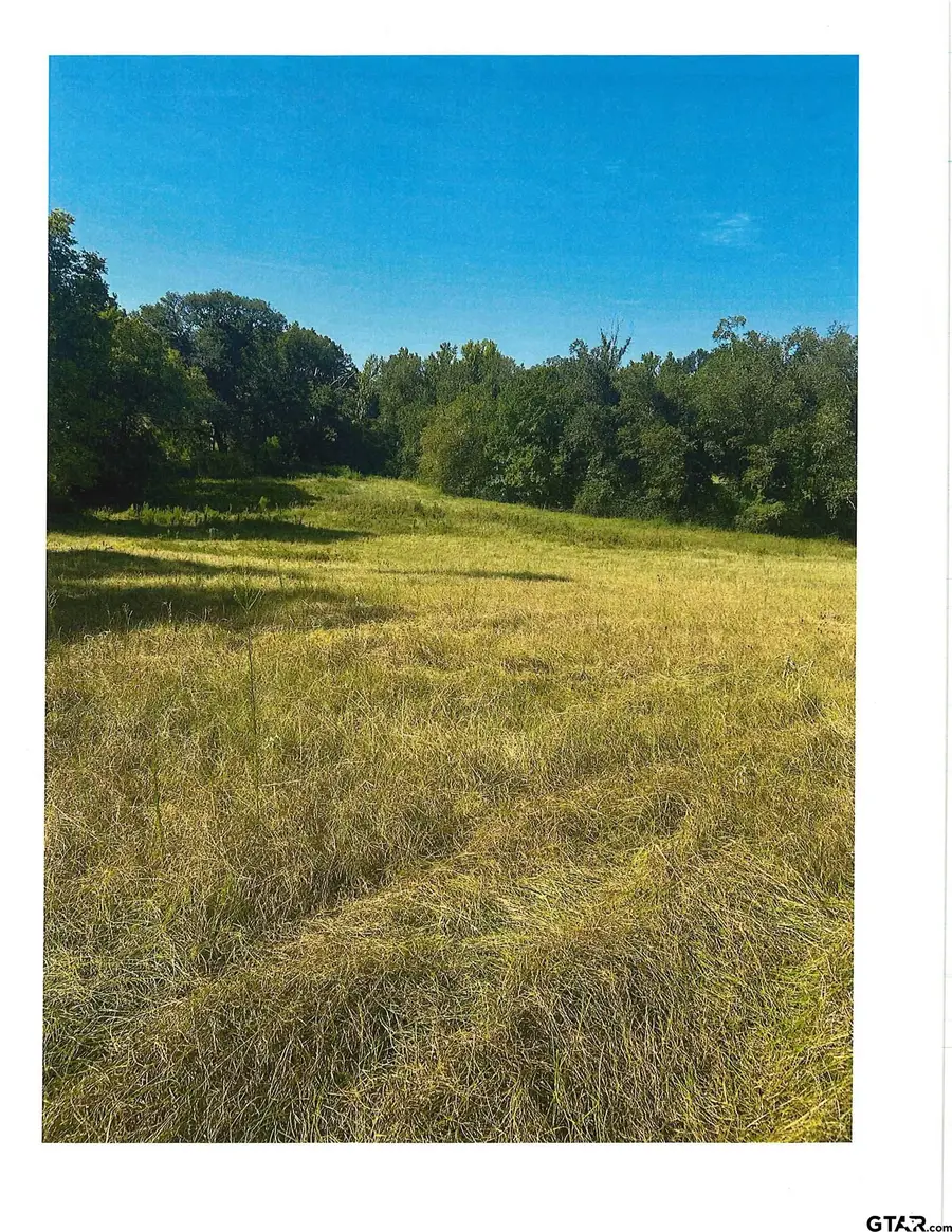 Fm 848, Whitehouse, TX 75791 - #3