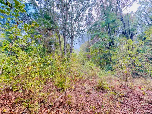0000 Apple Tree Rd, Gilmer, TX 75644