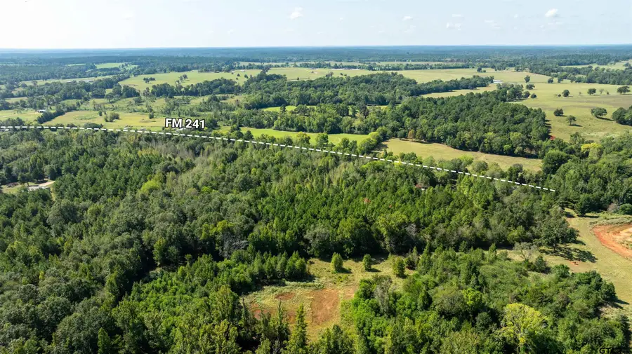 TBD Fm 241 S, Alto, TX 75925 - #2