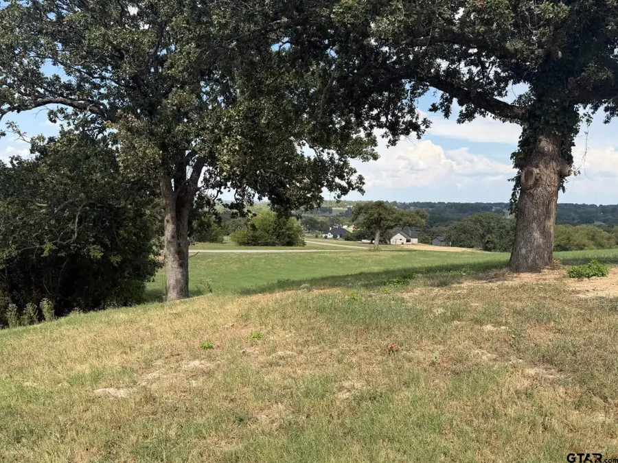 TBD High Point Ct, Athens, TX 75752 - #2